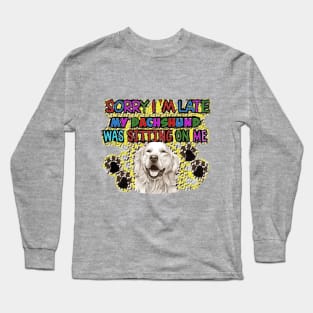 My dachshund was sitting on me Long Sleeve T-Shirt